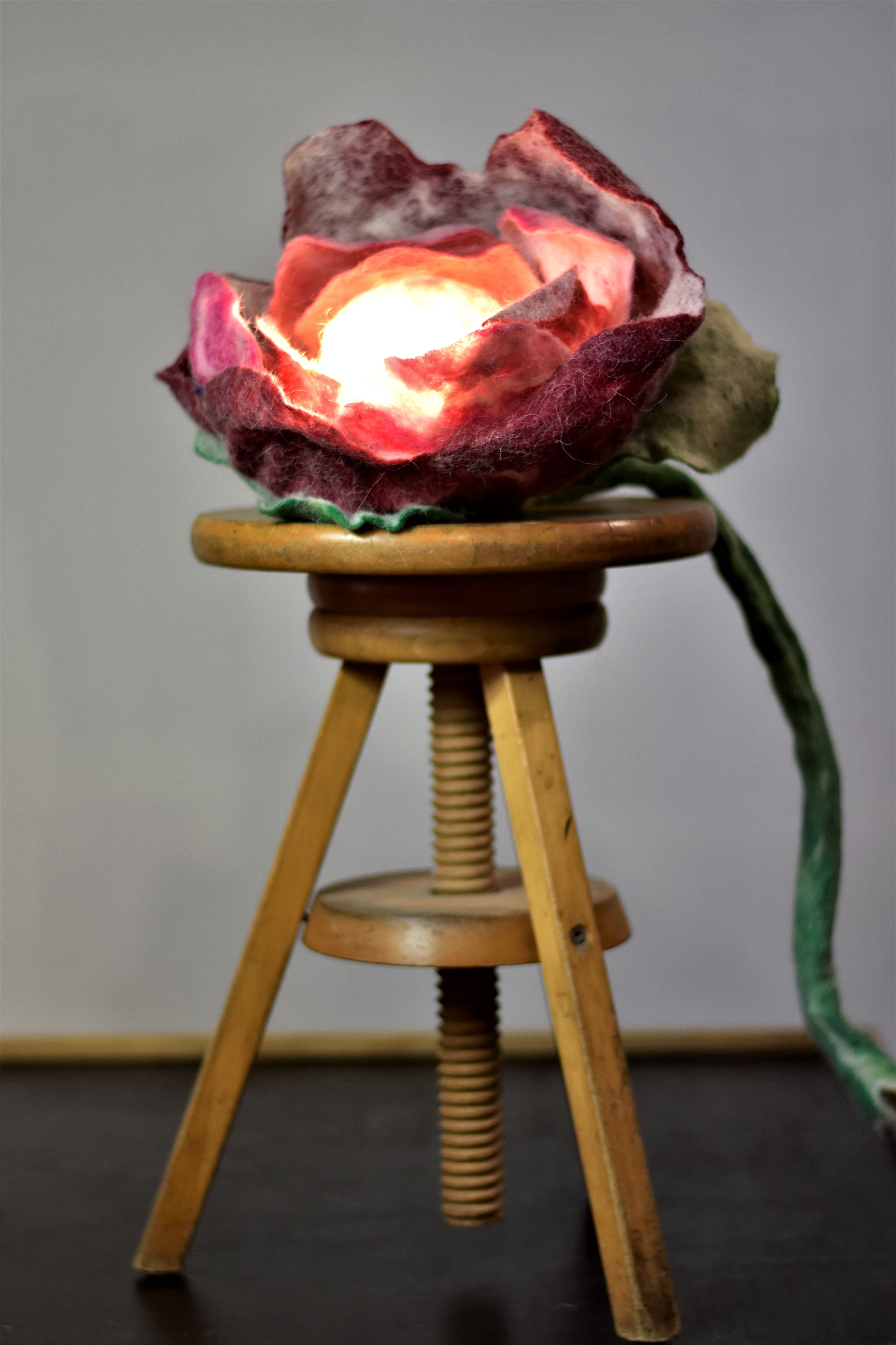 Sculptures lumineuses